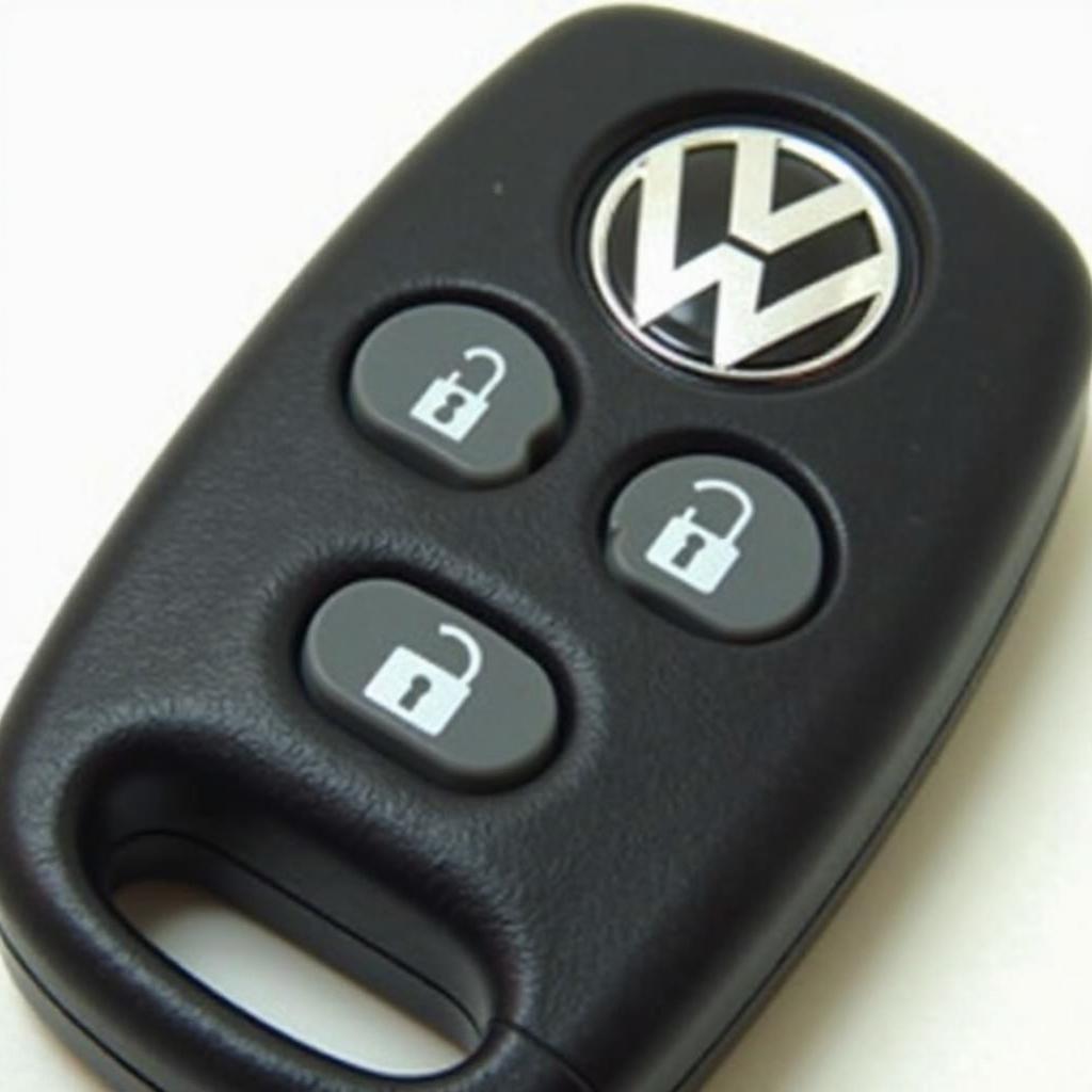 2002 Volkswagen Passat Key Fob