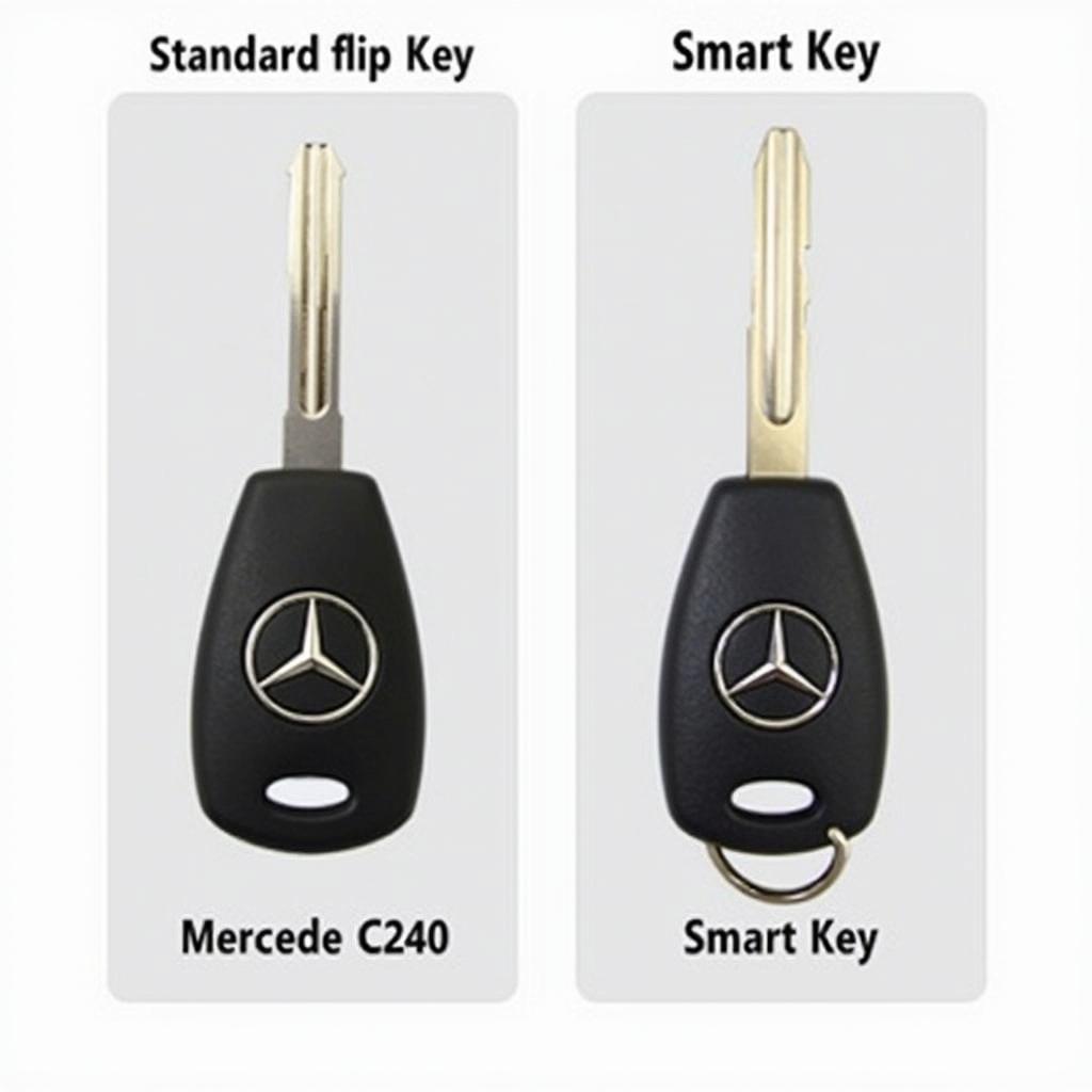 2005 Mercedes C240 Key Fob Types - Standard Flip Key vs. Smart Key