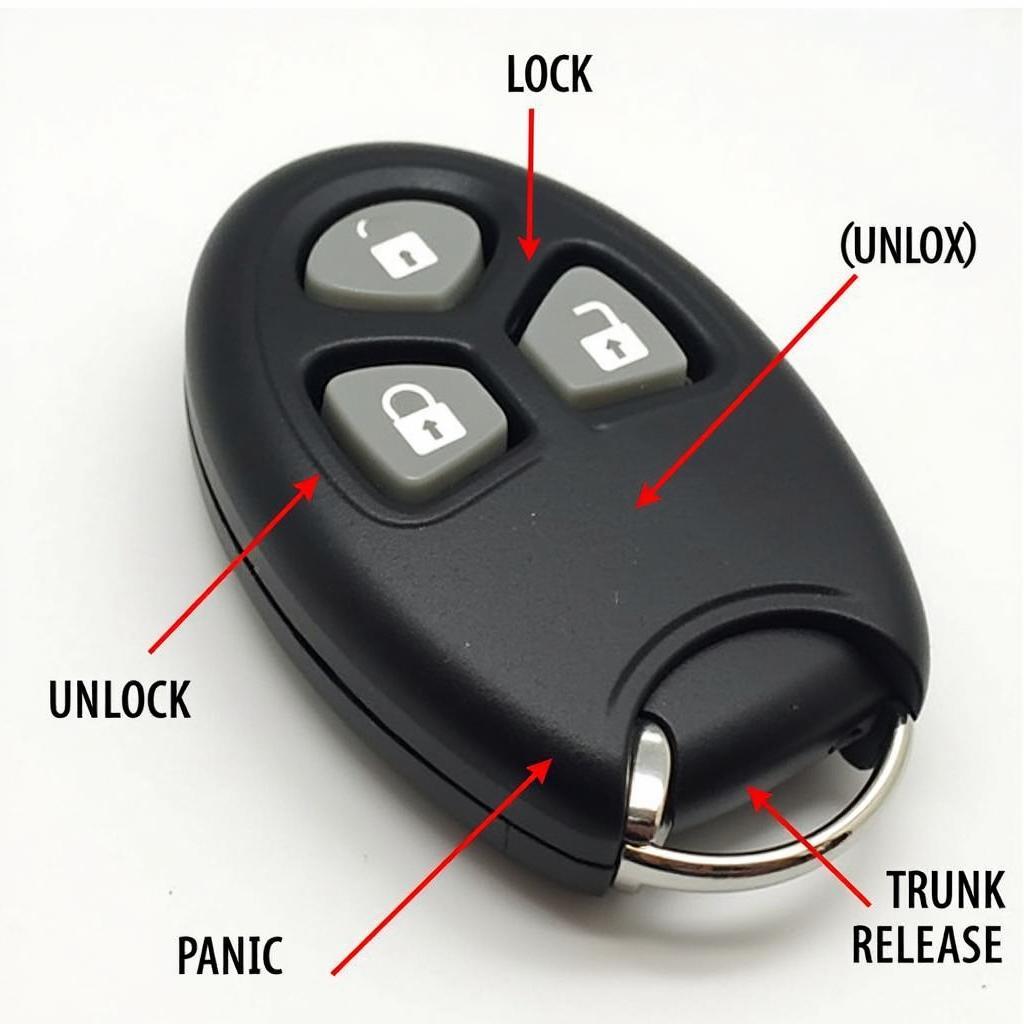 2007 Nissan Murano Key Fob Functions