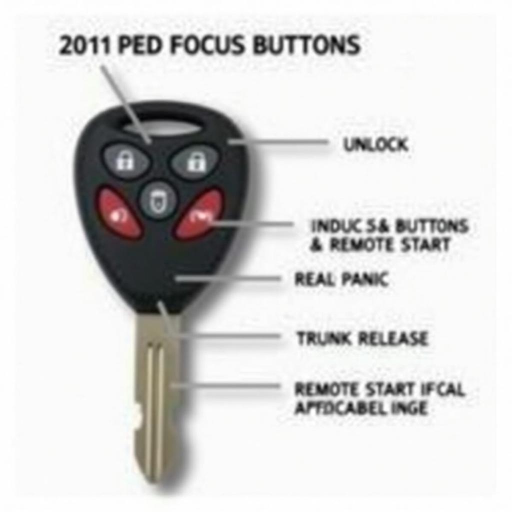 2011 Ford Focus Key Fob Buttons and Their Functions