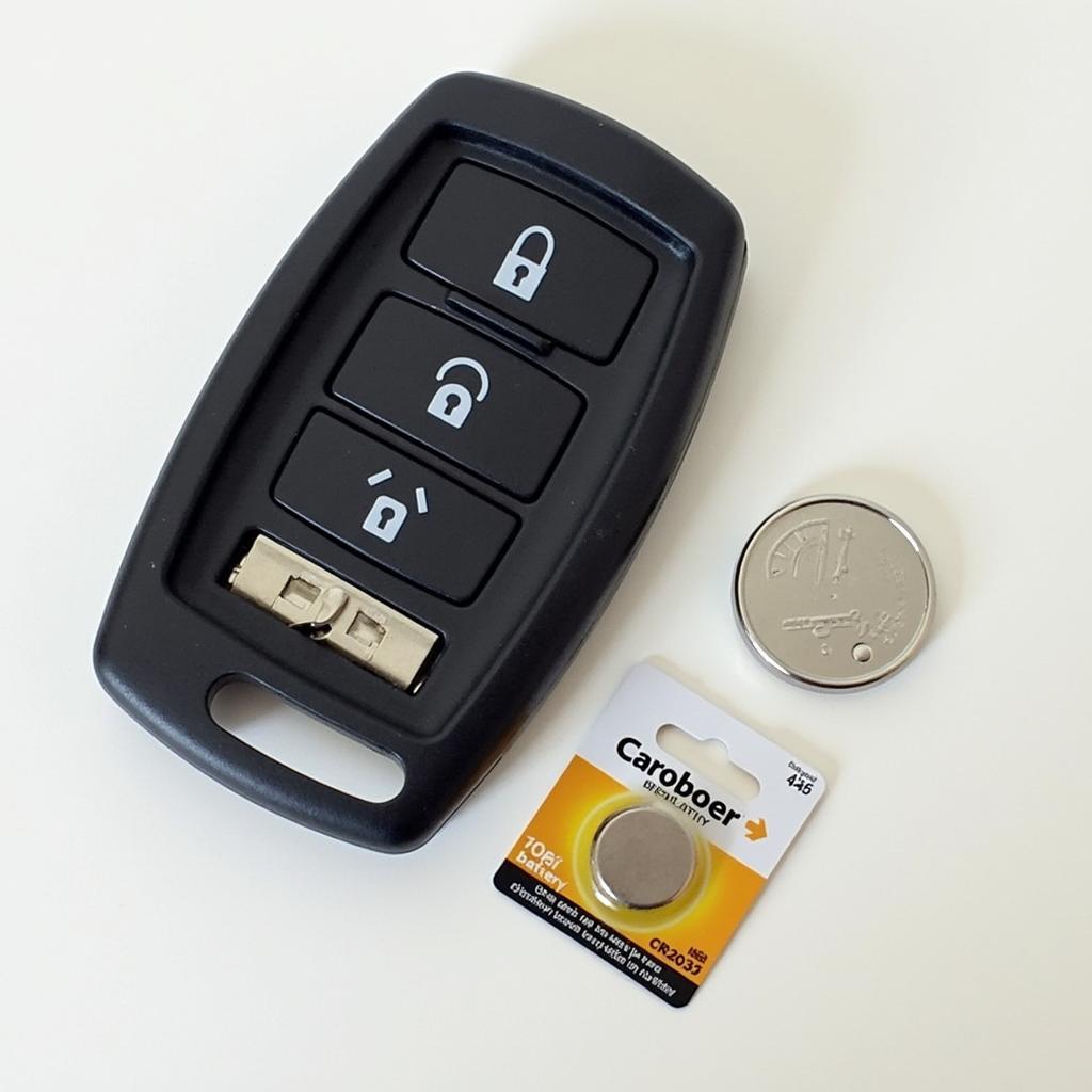 Replacing the Battery in a BMW Key Fob