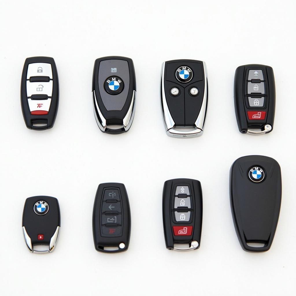 Evolution of BMW Key Fobs