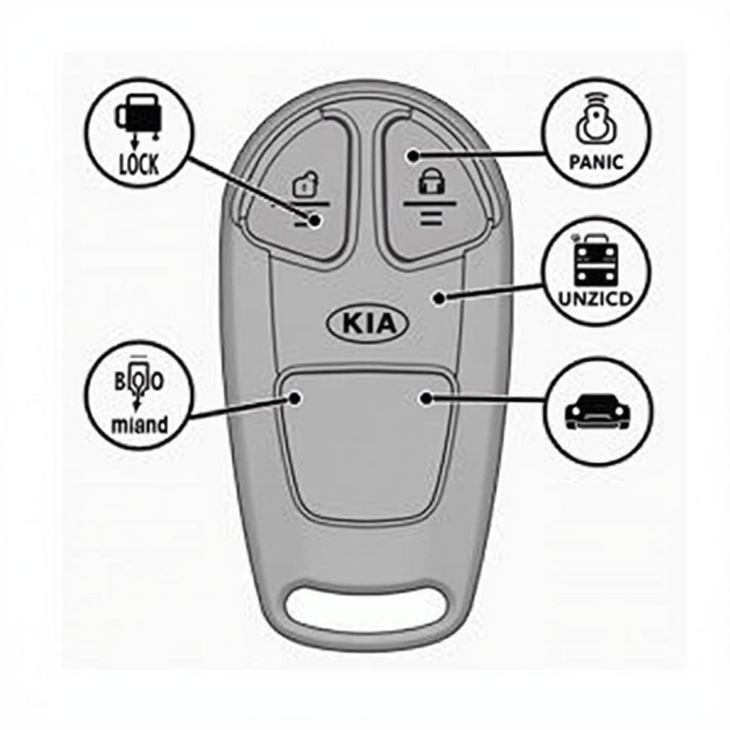 Kia Seltos Key Fob Functions Diagram