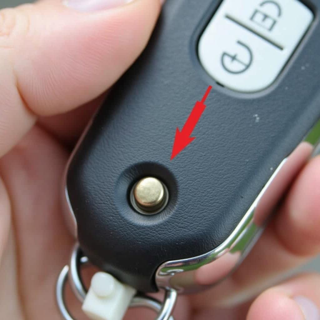 Lexus Key Fob Reset