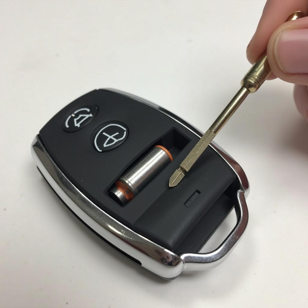 Mercedes Key Fob Battery Replacement