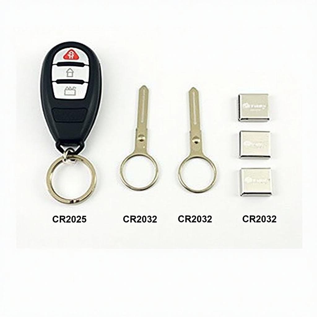 Nissan Key Fob Battery Types