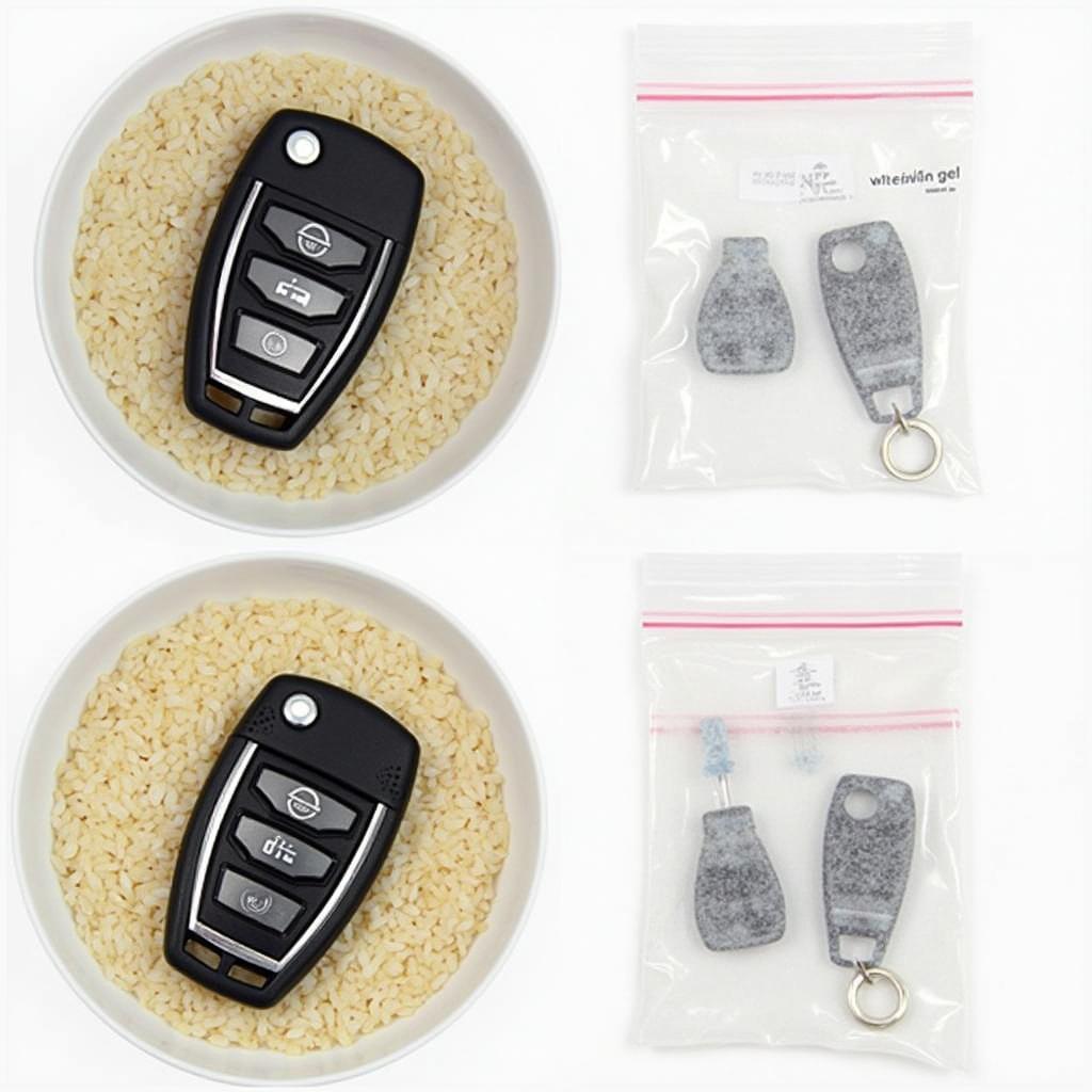 Drying a Nissan Key Fob