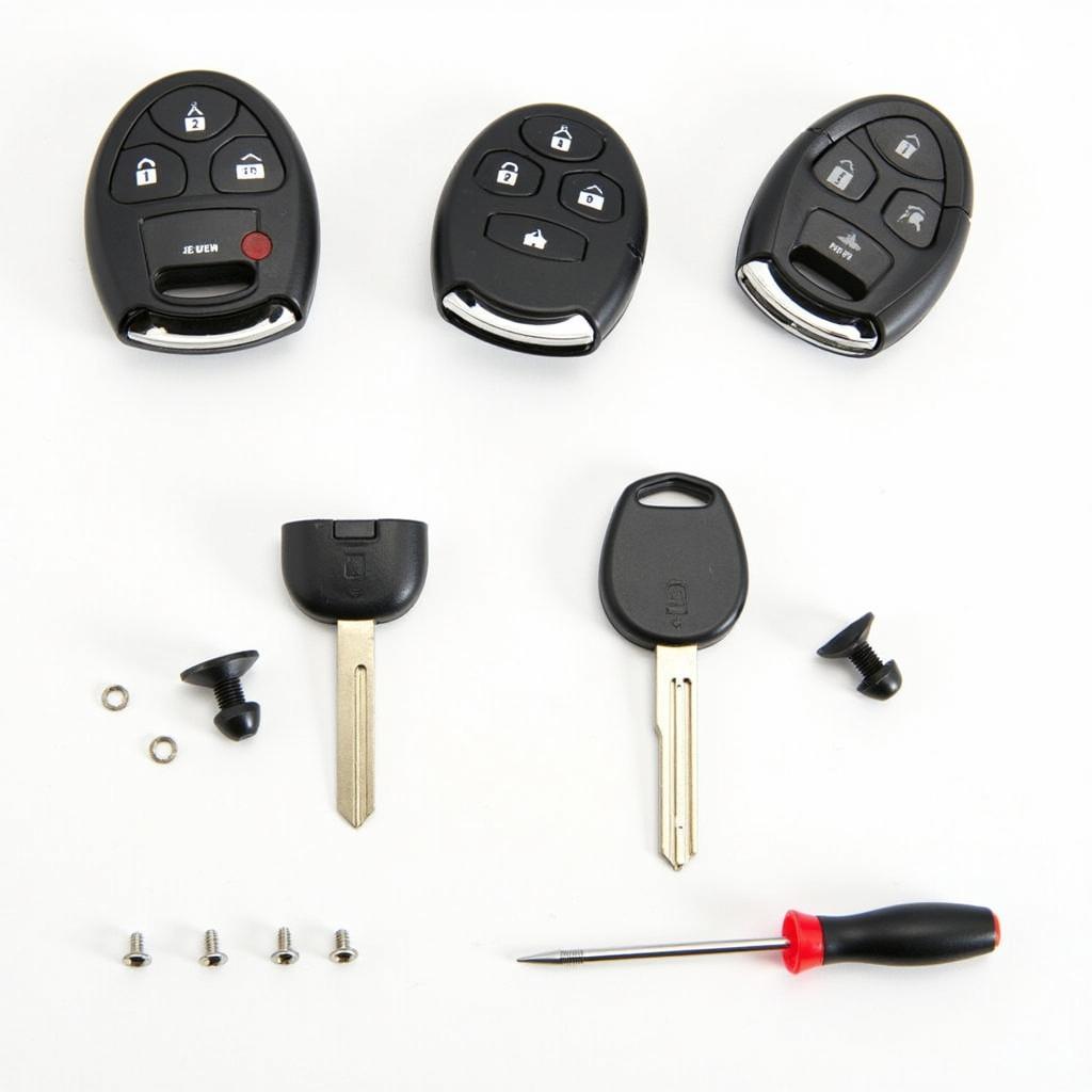 Disassembling a Washed Nissan Key Fob