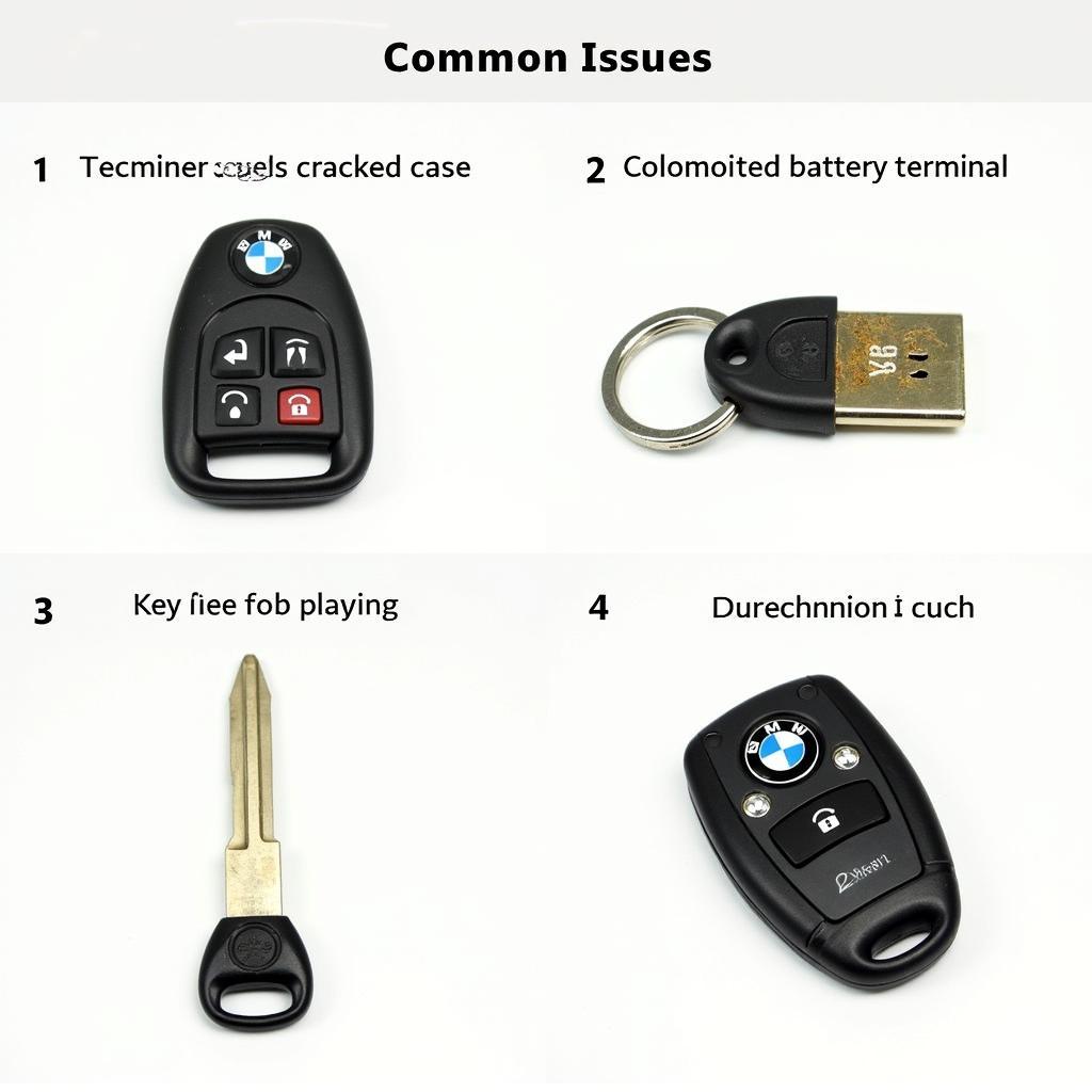 Common Issues with 2002 BMW X5 Key Fobs