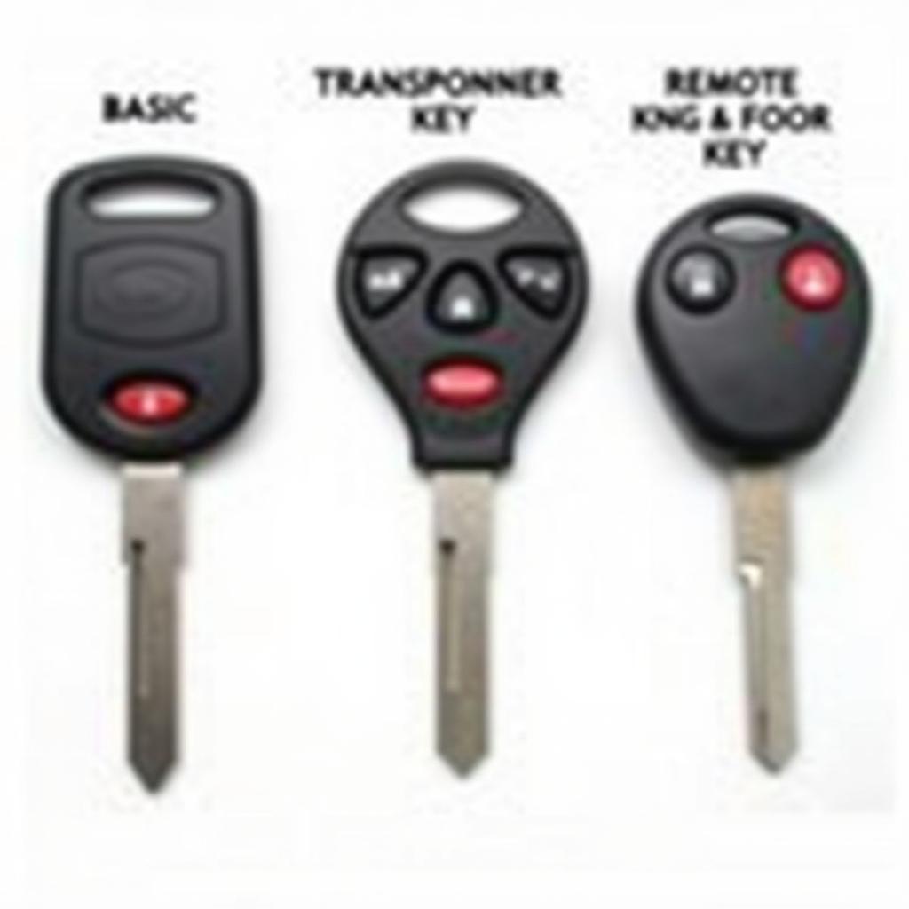 2002 Toyota 4Runner Key Fob Types: Basic, Transponder, and Remote