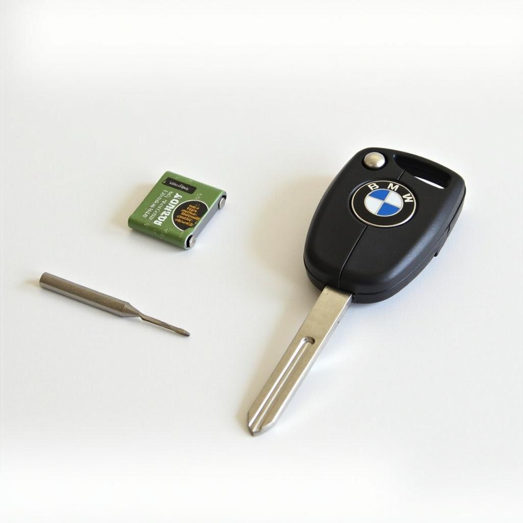 2004 BMW Key Fob Battery Replacement Tools