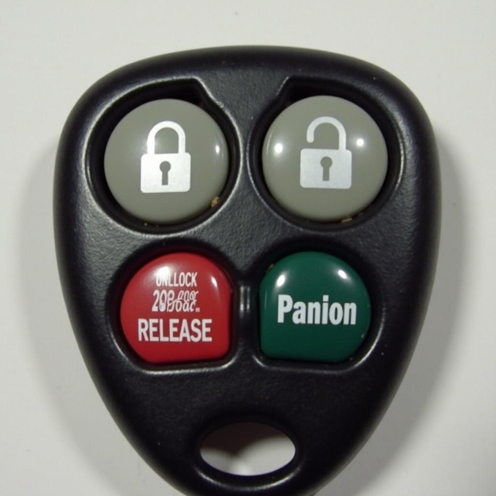 2004 Lexus GS300 Key Fob Buttons Close-up