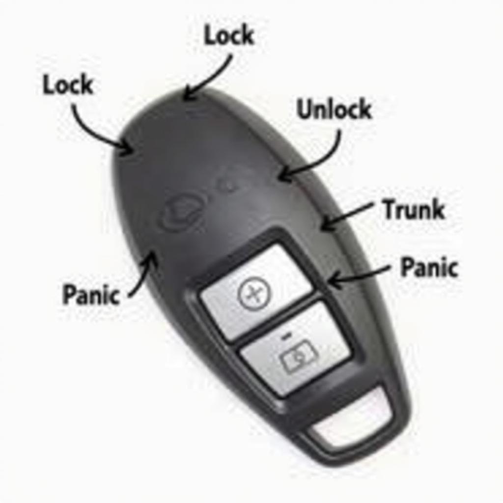 2004 Lexus LS430 Key Fob Functions: Lock, Unlock, Trunk, Panic