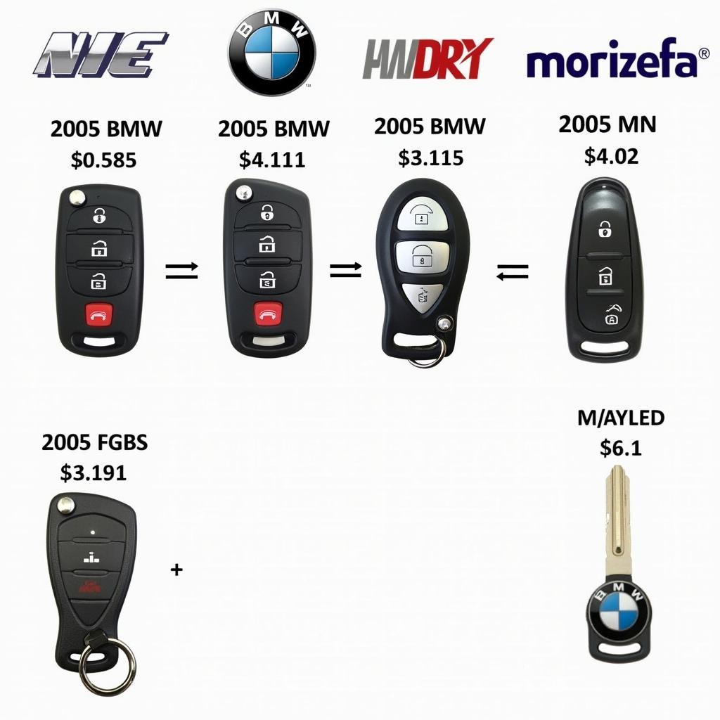 2005 BMW Key Fob Replacement Options