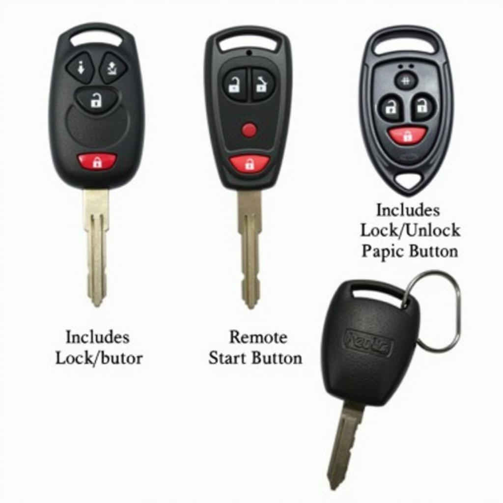 2005 Chrysler Town & Country Key Fob Variations - Different types of key fobs for a 2005 Chrysler Town & Country minivan showing various button configurations and features.