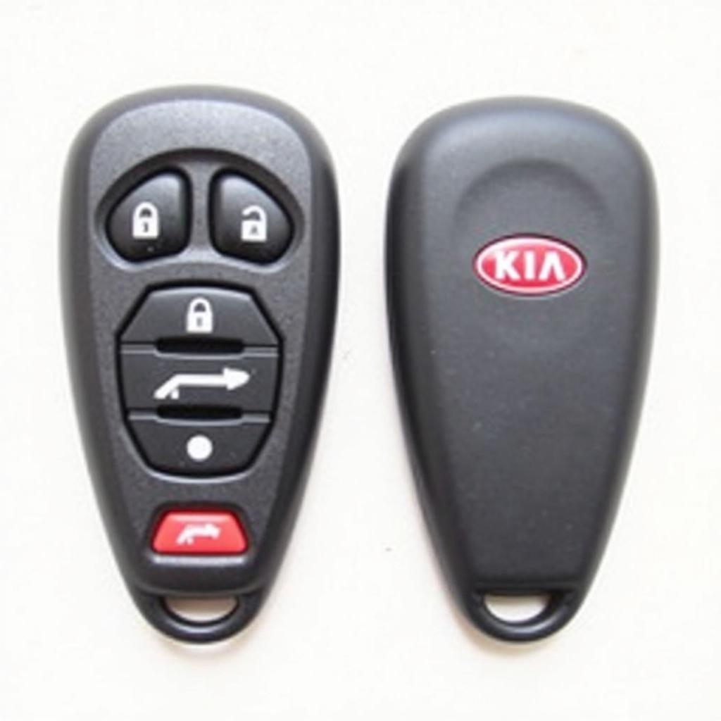 Identifying the 2007 Kia Spectra Key Fob