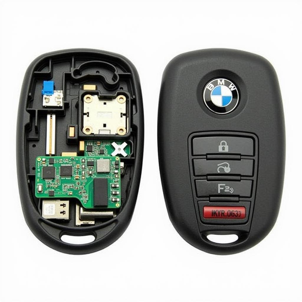 BMW 2010 Key Fob Internal Components