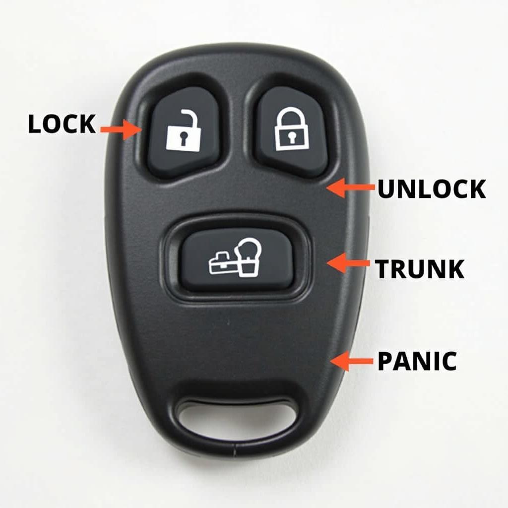 BMW E60 Key Fob Buttons Explained