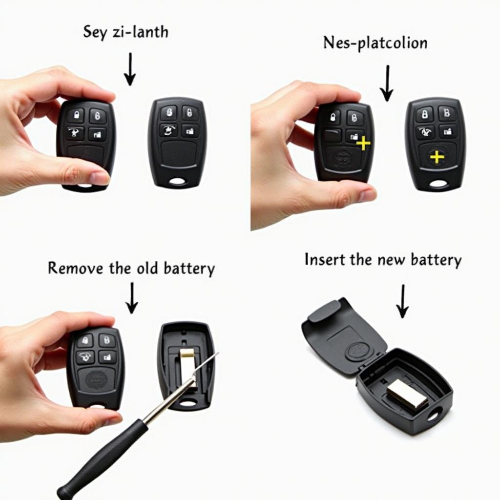 BMW Key Fob Battery Replacement Process