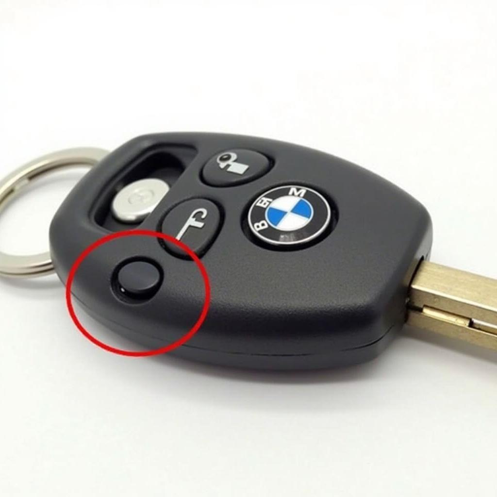 BMW Key Fob Release Button Location