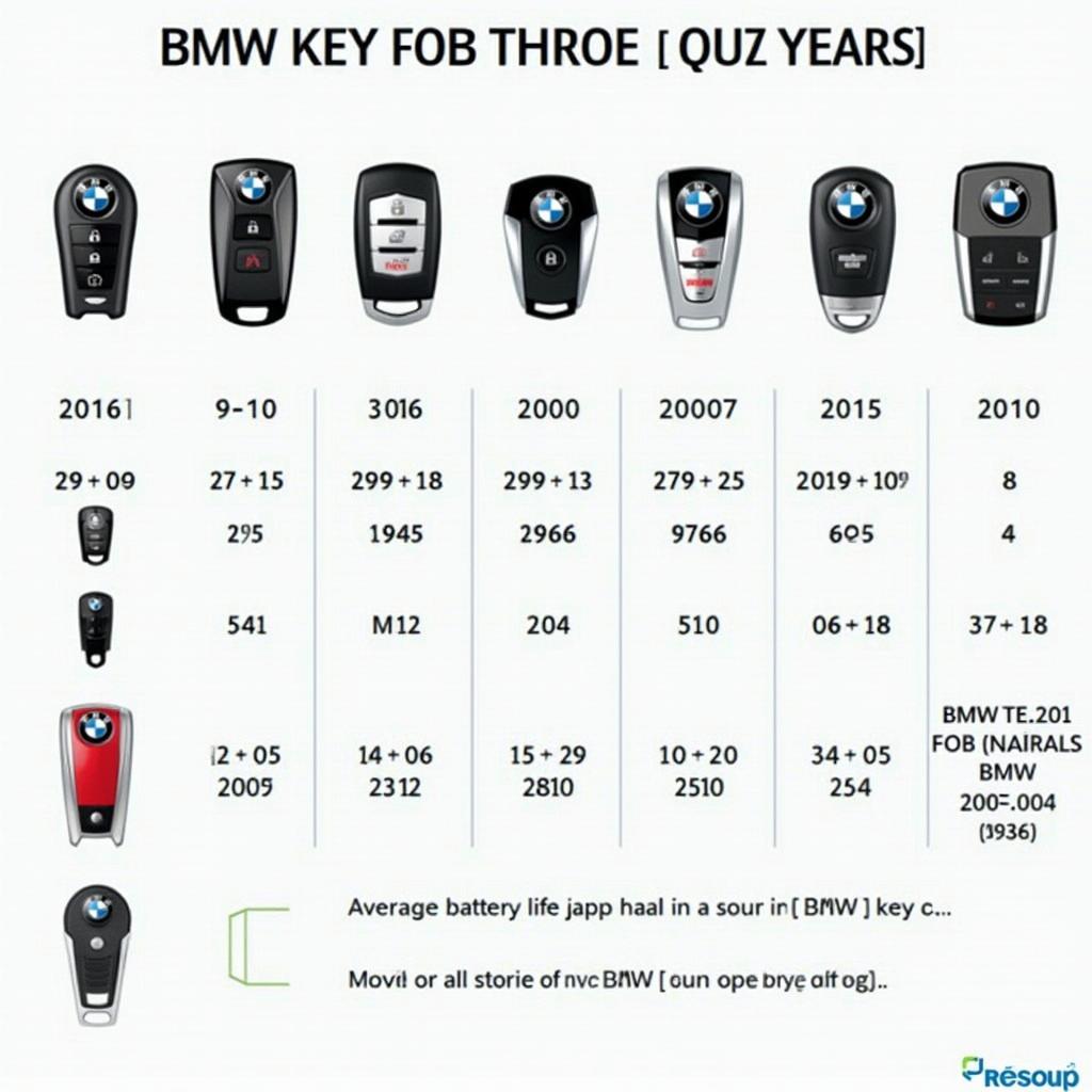 Different BMW Key Fob Types and Their Battery Life Expectancy