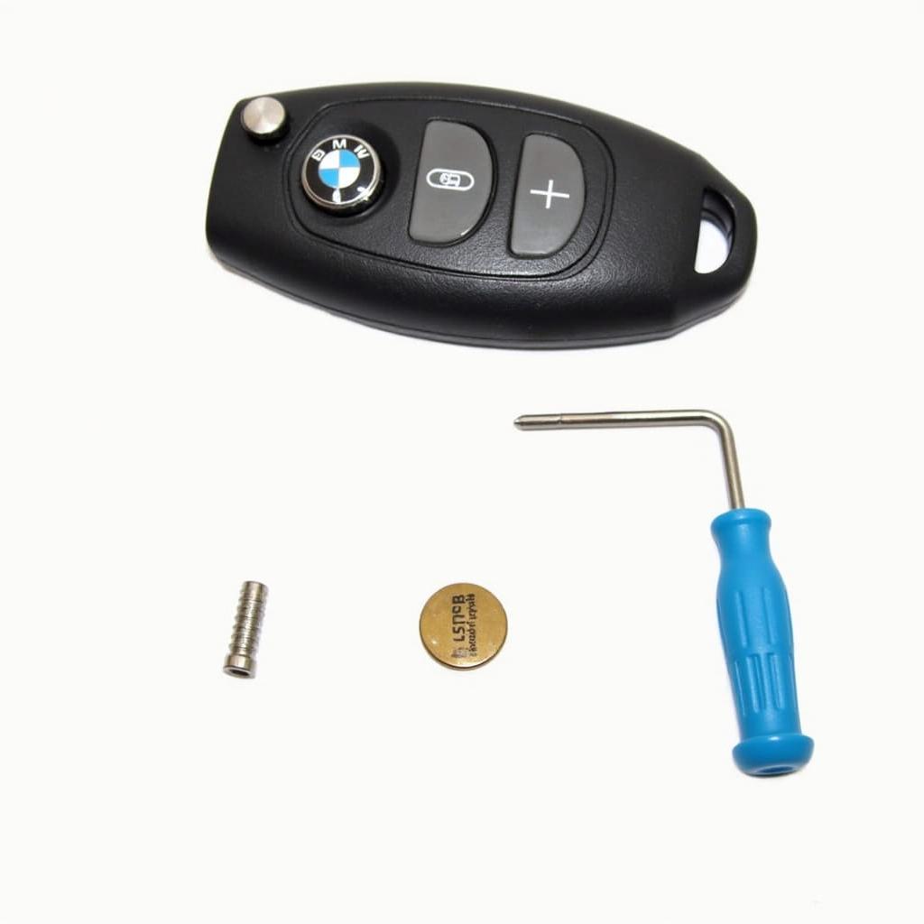 BMW Motorcycle Key Fob Battery Replacement Tools