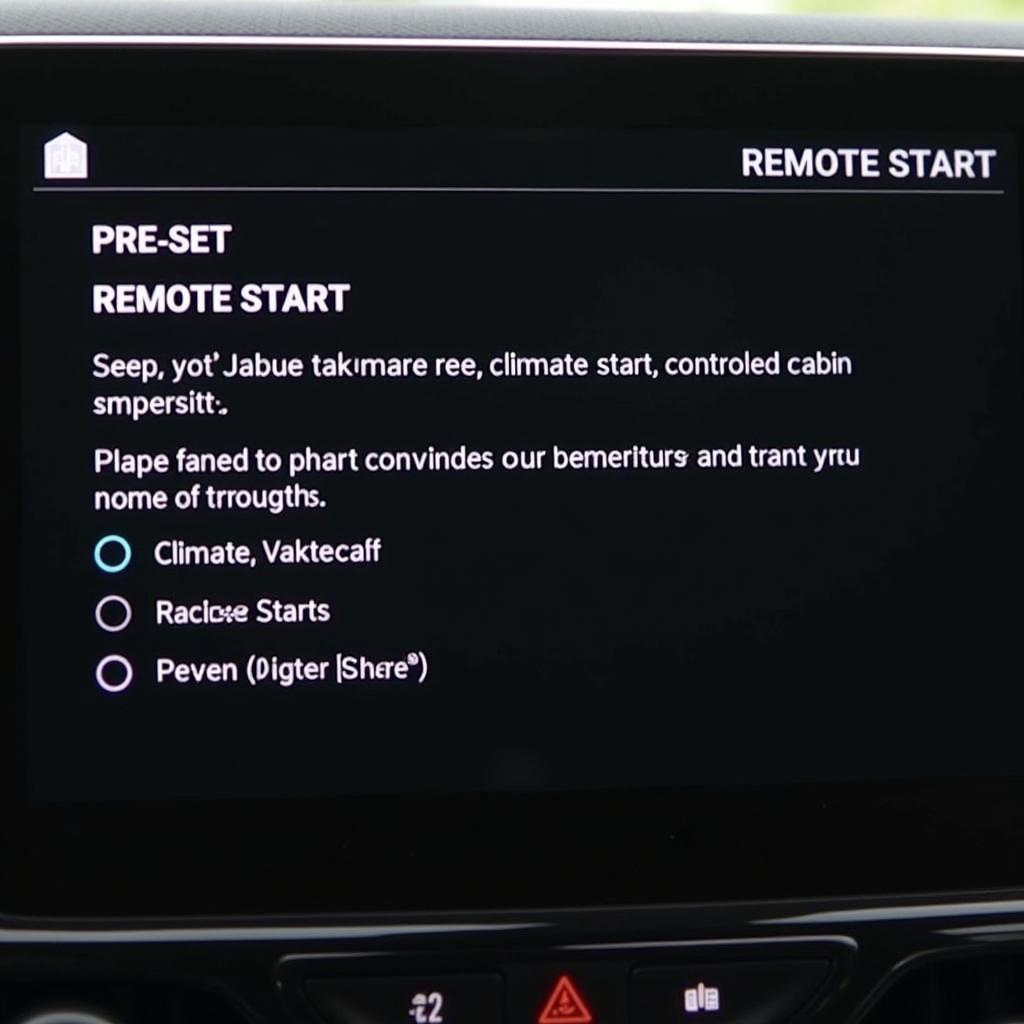 BMW Remote Start: Pre-set Climate Control