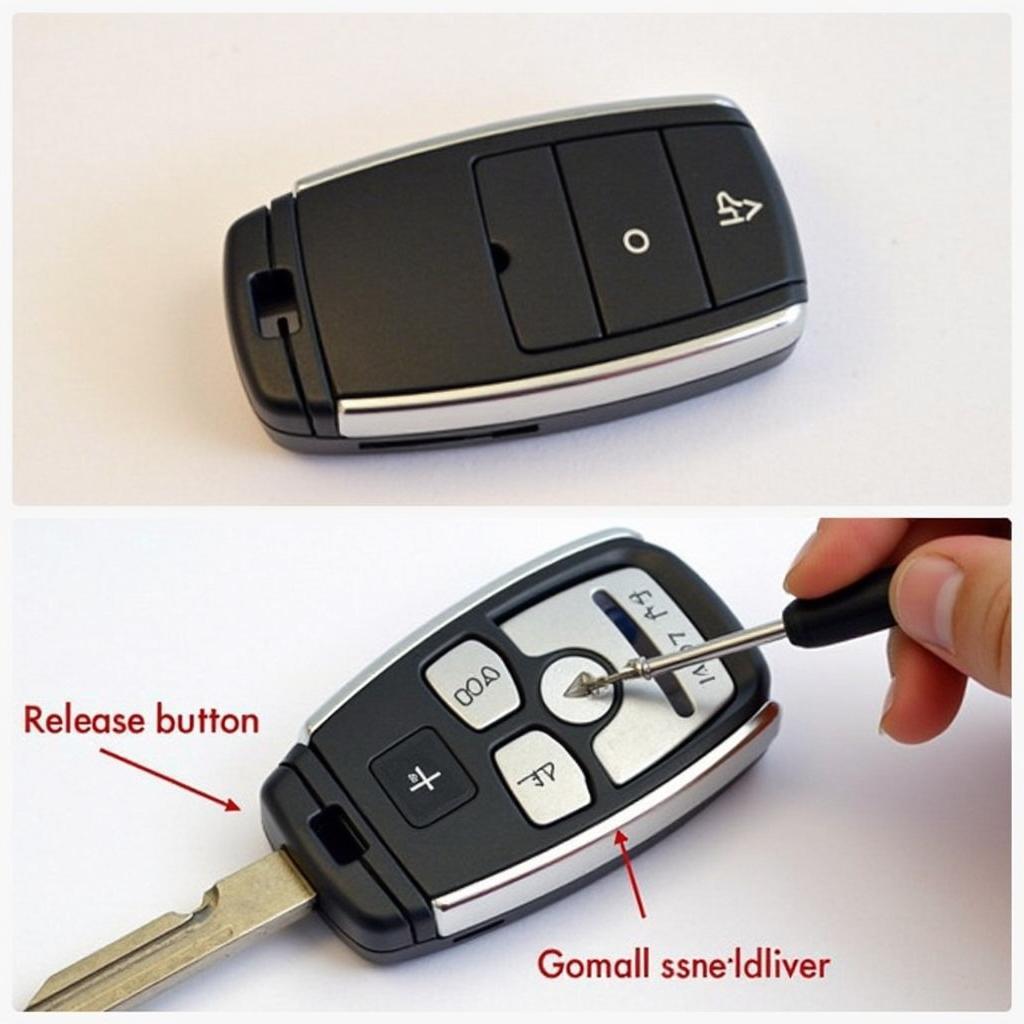 Opening the Battery Compartment of a Cadillac Escalade Key Fob