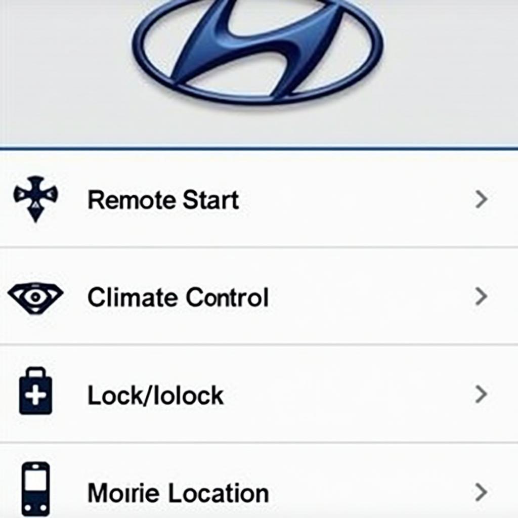 Using the Hyundai Blue Link App for Remote Start