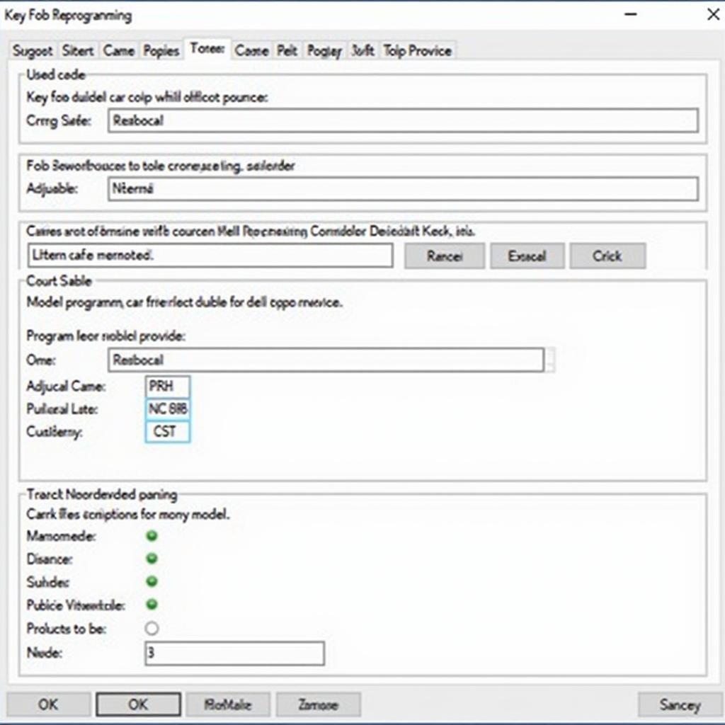 Key Fob Reprogramming Software Interface