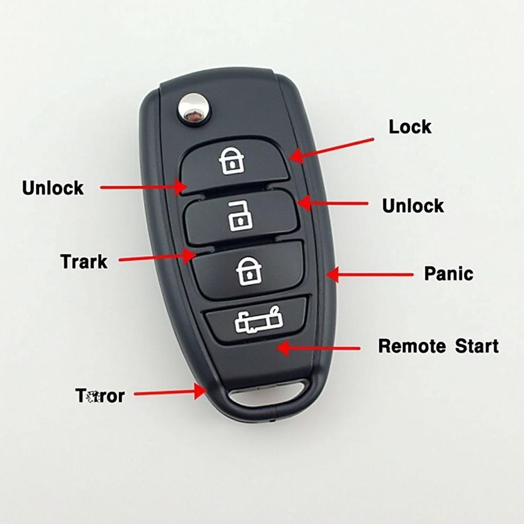 Kia Niro Key Fob Functions and Button Locations