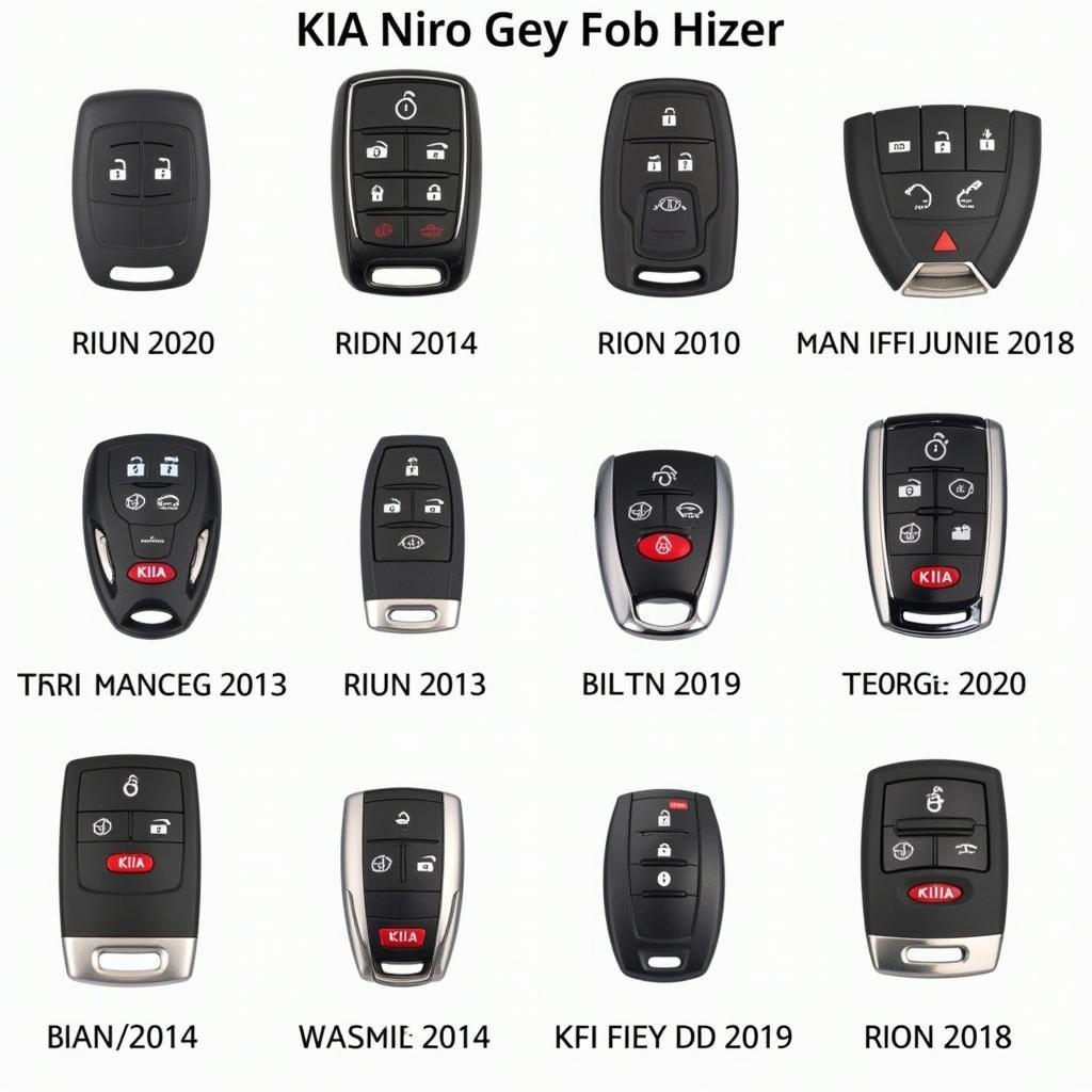 Different Types of Kia Niro Key Fobs