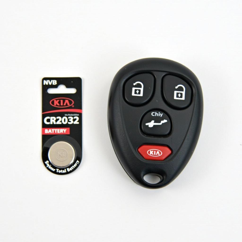 Kia Optima Key Fob and Spare CR2032 Battery