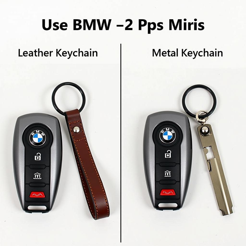 Leather vs. Metal Keychains for BMW