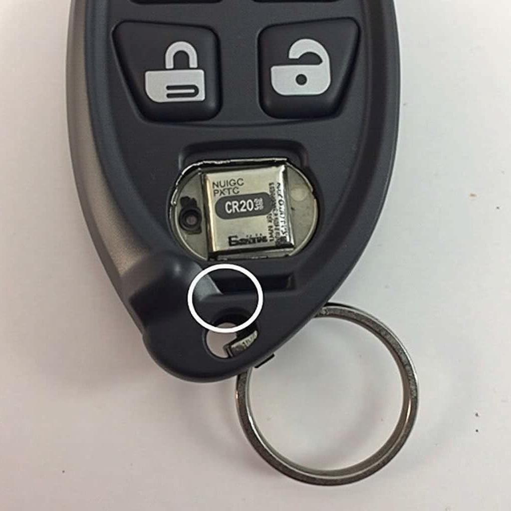 Locate the 2007 Lexus ES 350 Key Fob Battery