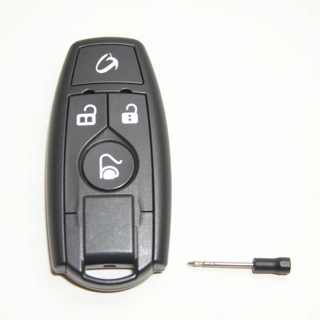 Lexus Key Fob and Screwdriver