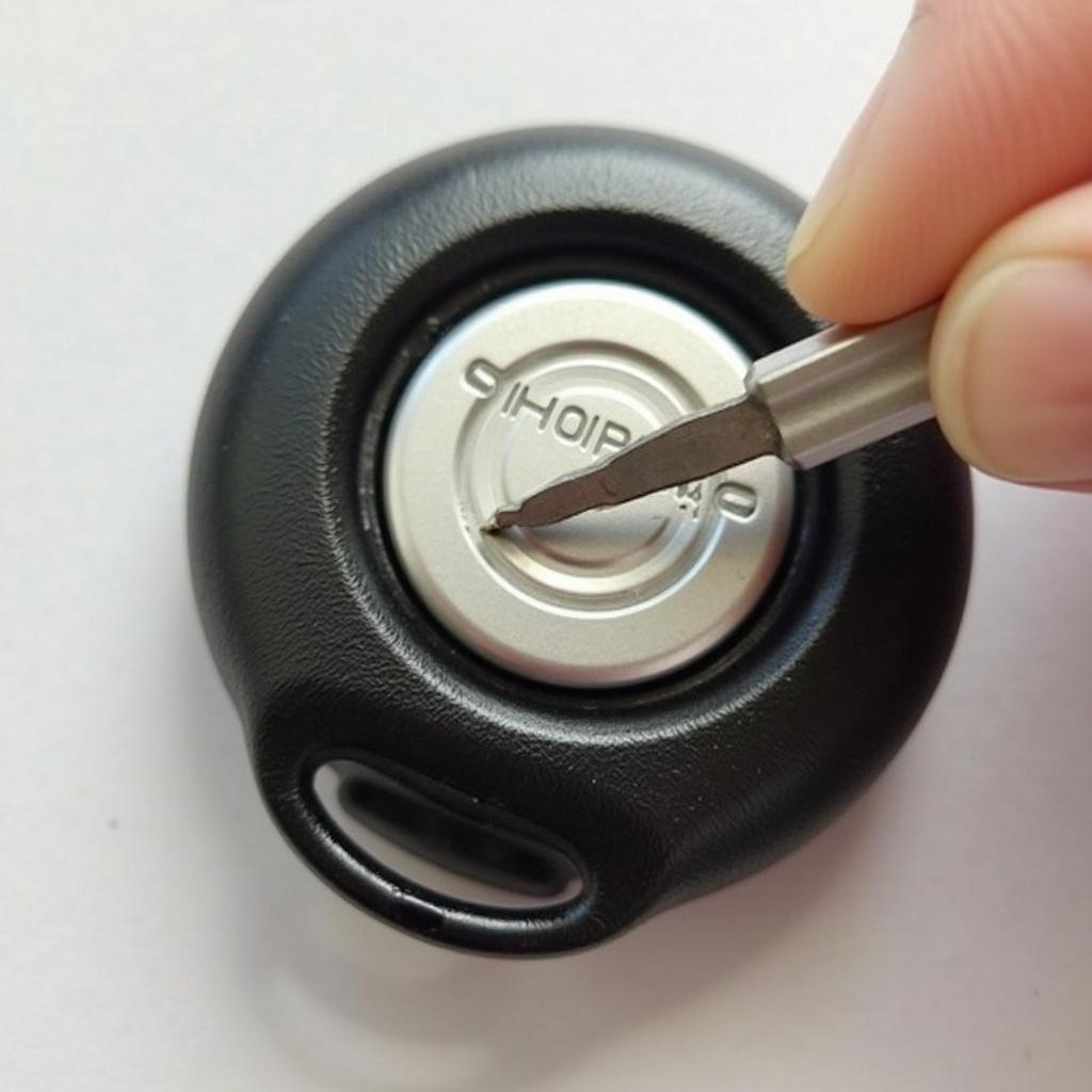 Replacing the Battery in a 2006 Mini Cooper Key Fob