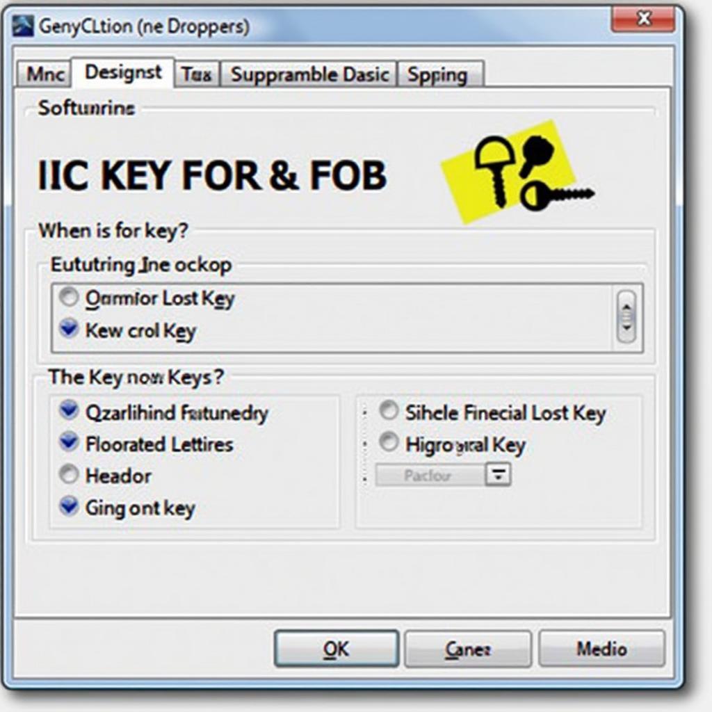 Mini Cooper Key Fob Programming Software Interface