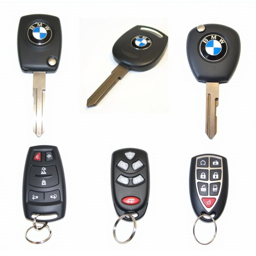 Replacement 02 BMW X5 Key Fobs