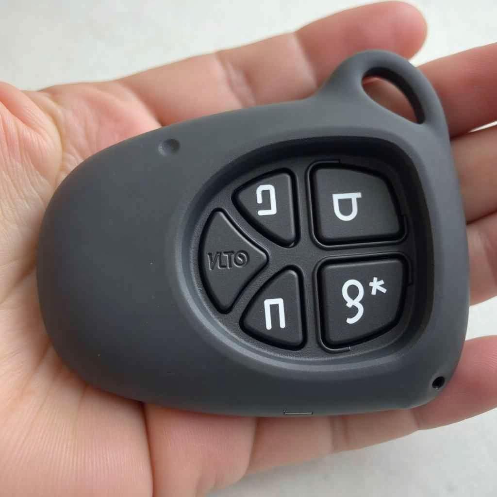 Subaru Forester Key Fob in Protective Case