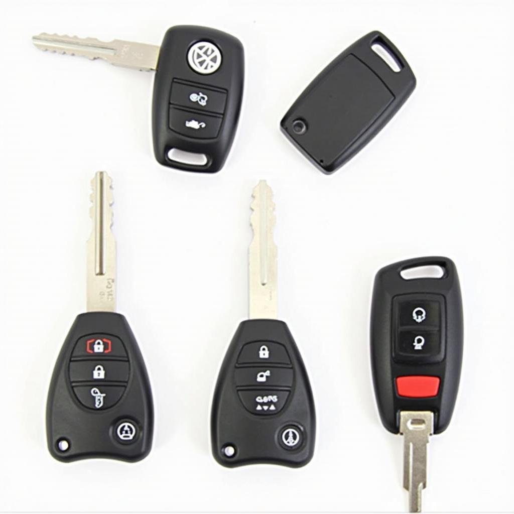 Different Types of VW Passat 2005 Key Fobs