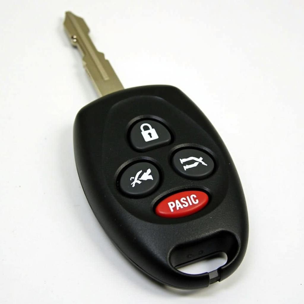 2007 Ford Transit Connect Key Fob Features and Buttons