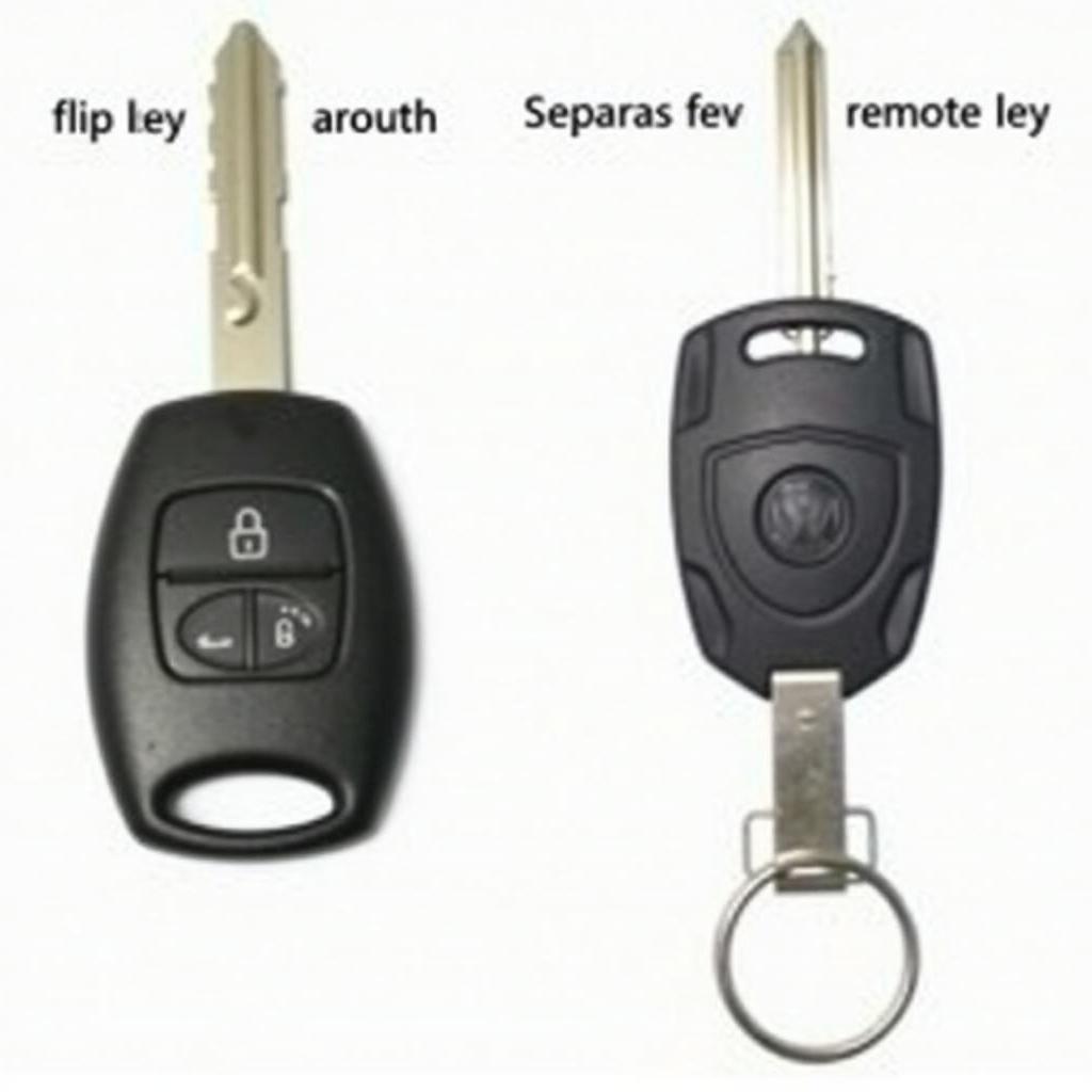 2007 VW Jetta Key Fob Types: Flip Key and Separate Remote