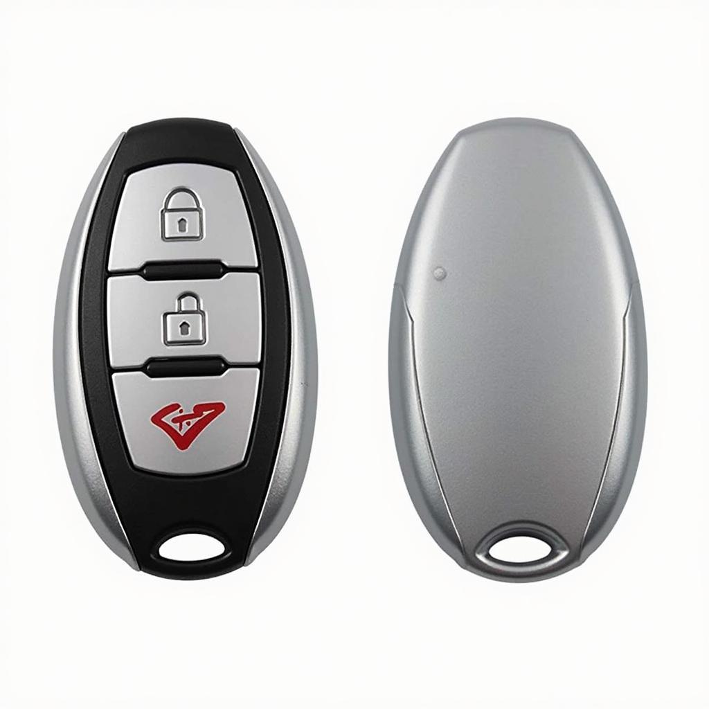 Key Fob Protection for a 2012 Nissan Altima