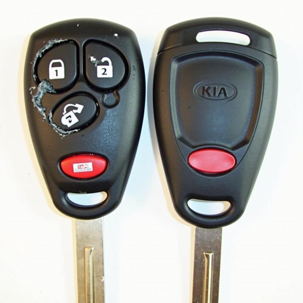 2013 Kia Rio Key Fob Malfunction Symptoms