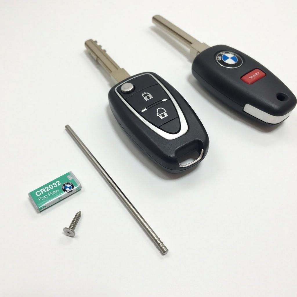 BMW Key Fob Battery Replacement Tools