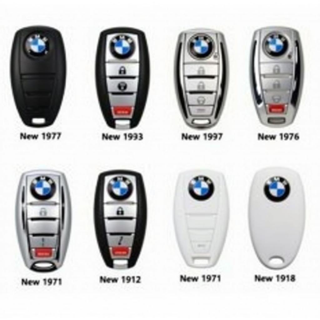 BMW Key Fob Color Variations