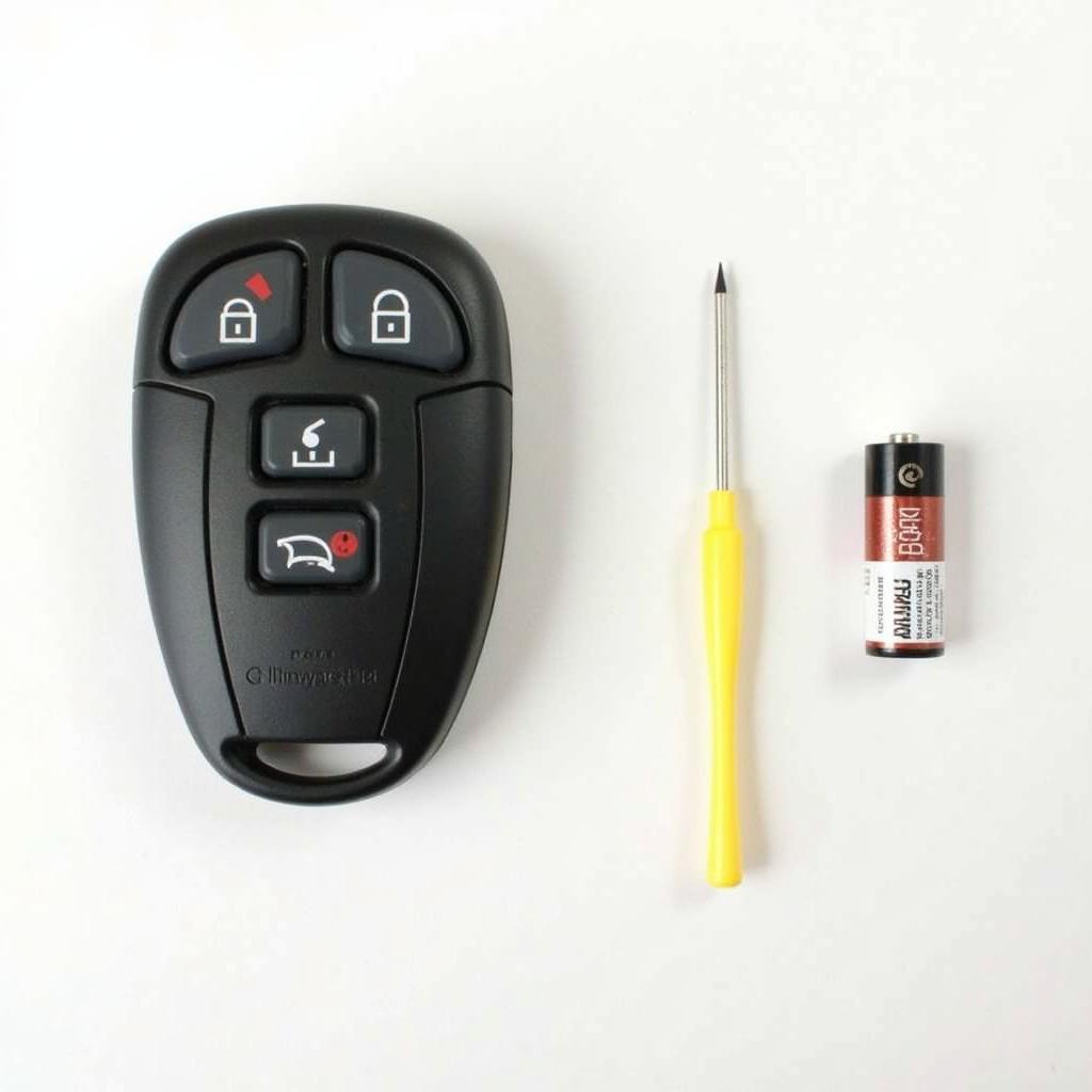 Chrysler 300 Key Fob Battery Replacement