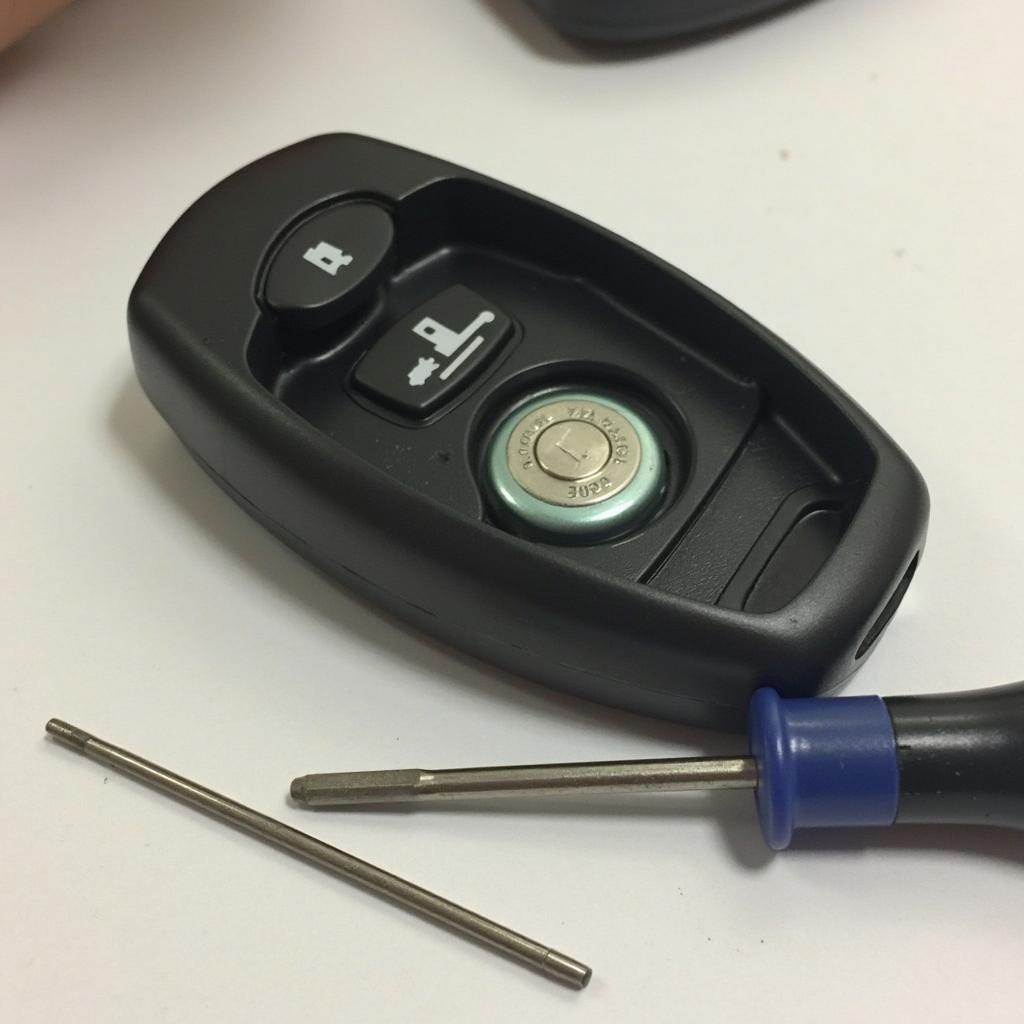 Chrysler 300 Key Fob Battery Replacement