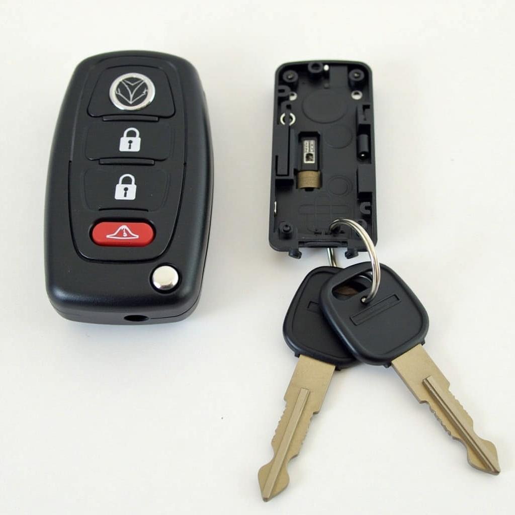 Closed Ram Key Fob after Battery Change